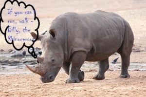 Billy - The Rhino